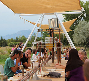 Group of people sit around long tables, end to end, outside under pale gold fabric stretched between white braces.
